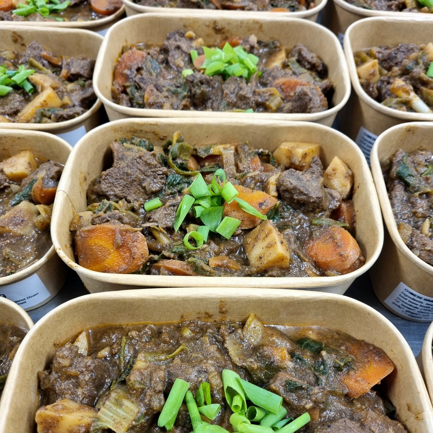 Chinese Braised Beef (GF/DF)